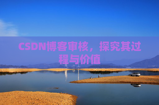 CSDN博客审核,探究其过程与价值