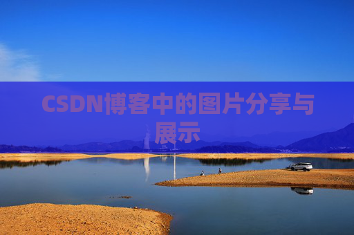 CSDN博客中的图片分享与展示